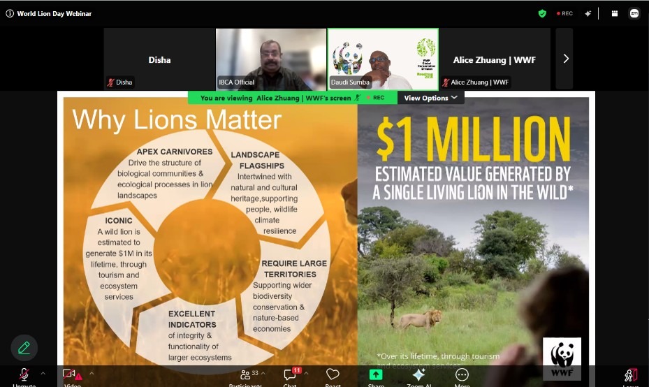 World Lion Day 2026 Webinar Image 10